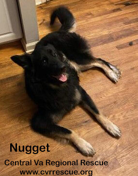 Nugget